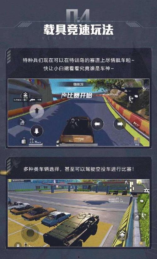 特训岛最新爆料信息大全,揭秘岛内神秘事件与不为人知的真相  第2张